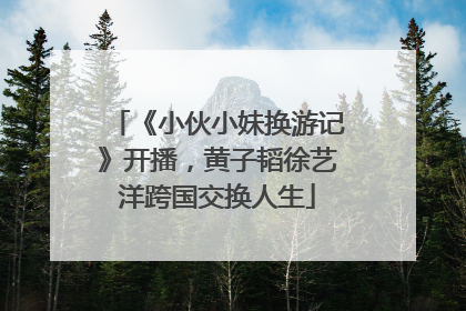 《小伙小妹换游记》开播，黄子韬徐艺洋跨国交换人生