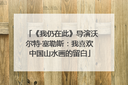 《我仍在此》导演沃尔特·塞勒斯：我喜欢中国山水画的留白