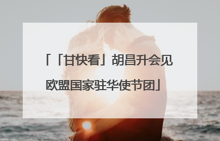 「甘快看」胡昌升会见欧盟国家驻华使节团