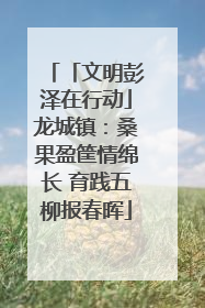「文明彭泽在行动」龙城镇：桑果盈筐情绵长 育践五柳报春晖
