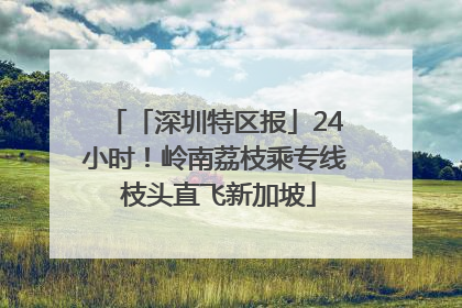 「深圳特区报」24小时！岭南荔枝乘专线 枝头直飞新加坡