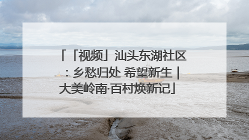「视频」汕头东湖社区：乡愁归处 希望新生｜大美岭南·百村焕新记