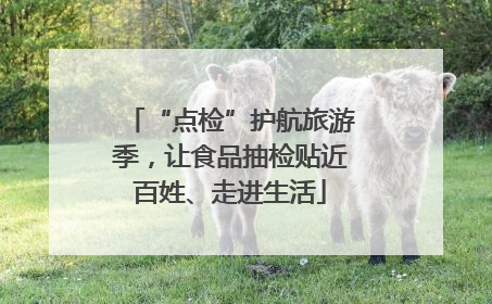 “点检”护航旅游季，让食品抽检贴近百姓、走进生活