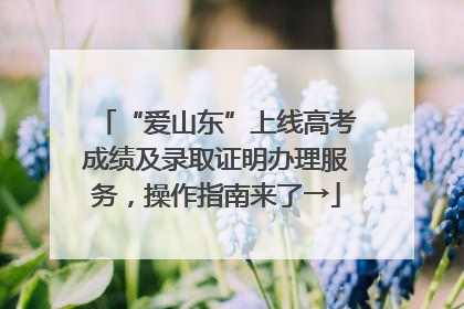 “爱山东”上线高考成绩及录取证明办理服务，操作指南来了→