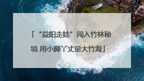 “益阳走娃”闯入竹林秘境 用小脚丫丈量大竹海