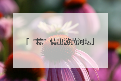 “粽”情出游黄河坛