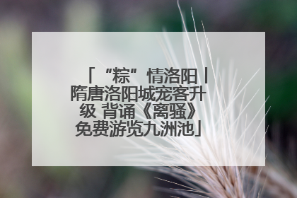 “粽”情洛阳丨隋唐洛阳城宠客升级 背诵《离骚》免费游览九洲池