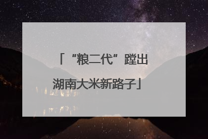 “粮二代”蹚出湖南大米新路子