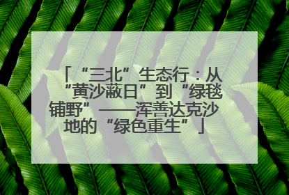 “三北”生态行：从“黄沙蔽日”到“绿毯铺野”——浑善达克沙地的“绿色重生”
