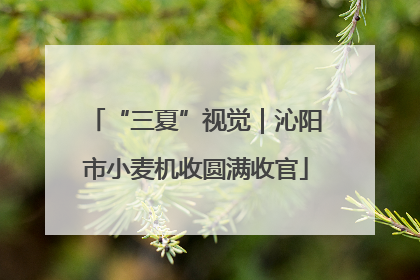 “三夏”视觉｜沁阳市小麦机收圆满收官