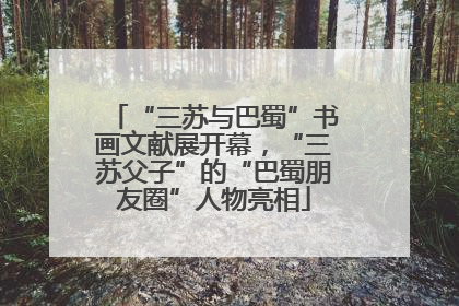 “三苏与巴蜀”书画文献展开幕，“三苏父子”的“巴蜀朋友圈”人物亮相