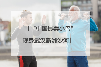 “中国最美小鸟”现身武汉新洲沙河