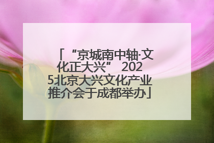 “京城南中轴·文化正大兴” 2025北京大兴文化产业推介会于成都举办