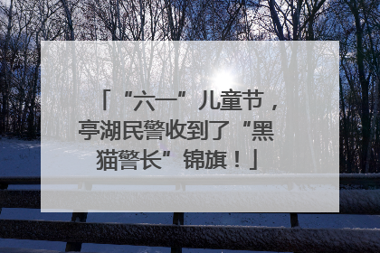 “六一”儿童节，亭湖民警收到了“黑猫警长”锦旗！