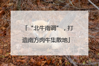 “北牛南调”，打造南方肉牛集散地