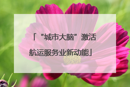 “城市大脑”激活航运服务业新动能