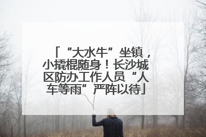 “大水牛”坐镇，小撬棍随身！长沙城区防办工作人员“人车等雨”严阵以待