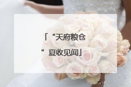“天府粮仓”夏收见闻