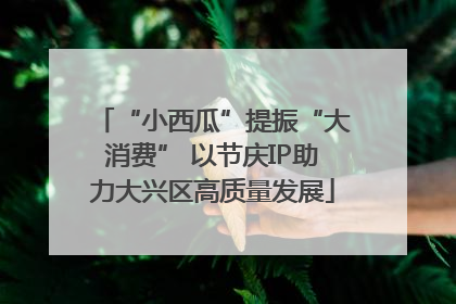 “小西瓜”提振“大消费” 以节庆IP助力大兴区高质量发展