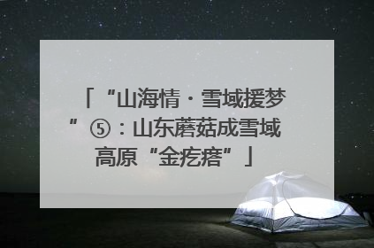 “山海情・雪域援梦”⑤：山东蘑菇成雪域高原“金疙瘩”