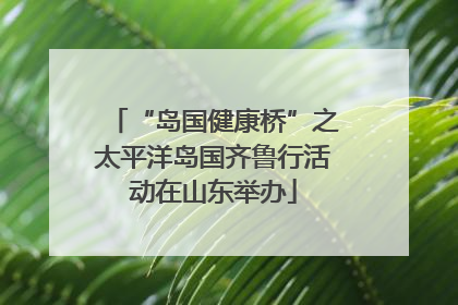 “岛国健康桥”之太平洋岛国齐鲁行活动在山东举办