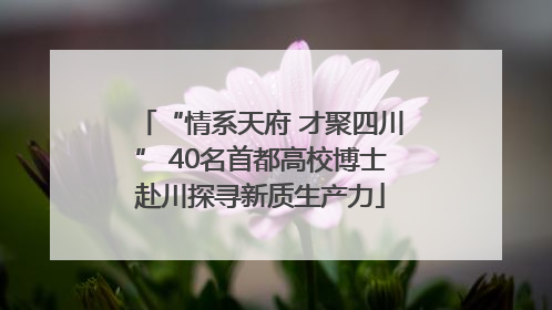 “情系天府 才聚四川” 40名首都高校博士赴川探寻新质生产力