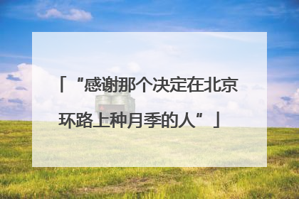 “感谢那个决定在北京环路上种月季的人”
