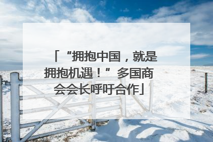 “拥抱中国，就是拥抱机遇！”多国商会会长呼吁合作