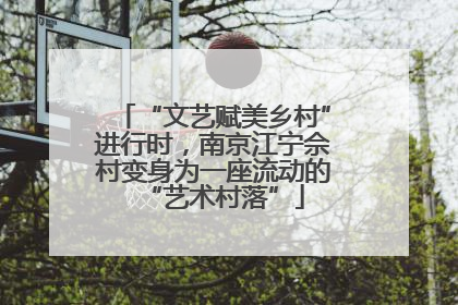 “文艺赋美乡村”进行时，南京江宁佘村变身为一座流动的“艺术村落”