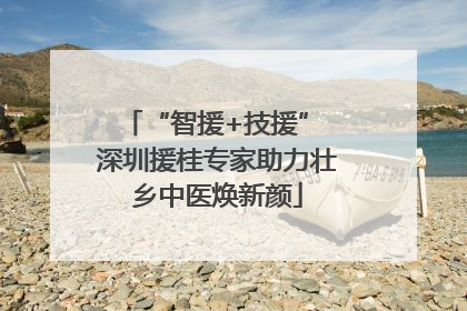 “智援+技援” 深圳援桂专家助力壮乡中医焕新颜