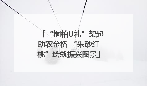 “桐柏U礼”架起助农金桥 “朱砂红桃”绘就振兴图景