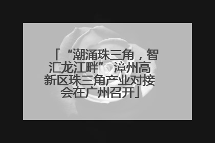 “潮涌珠三角，智汇龙江畔” 漳州高新区珠三角产业对接会在广州召开