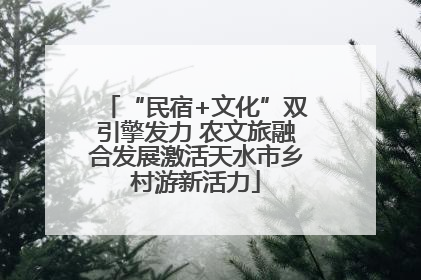 “民宿+文化”双引擎发力 农文旅融合发展激活天水市乡村游新活力