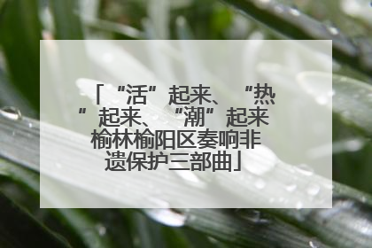 “活”起来、“热”起来、“潮”起来 榆林榆阳区奏响非遗保护三部曲