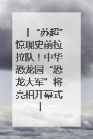 “苏超”惊现史前拉拉队！中华恐龙园“恐龙大军”将亮相开幕式