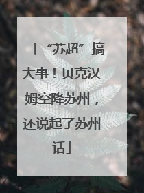 “苏超”搞大事！贝克汉姆空降苏州，还说起了苏州话