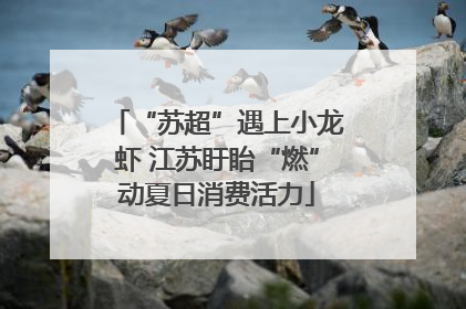 “苏超”遇上小龙虾 江苏盱眙“燃”动夏日消费活力