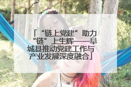 “链上党建”助力“链”上生辉——阜城县推动党建工作与产业发展深度融合