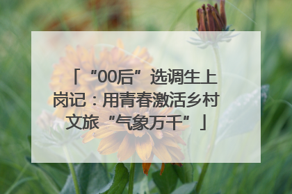 “00后”选调生上岗记：用青春激活乡村文旅“气象万千”