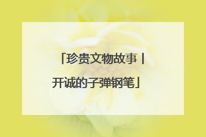 珍贵文物故事丨开诚的子弹钢笔