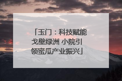 玉门：科技赋能戈壁绿洲 小院引领蜜瓜产业振兴