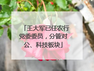王大军已任农行党委委员，分管对公、科技板块