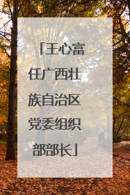 王心富任广西壮族自治区党委组织部部长