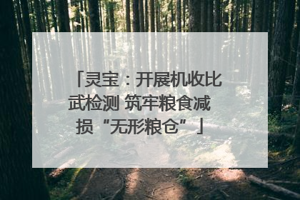 灵宝：开展机收比武检测 筑牢粮食减损“无形粮仓”