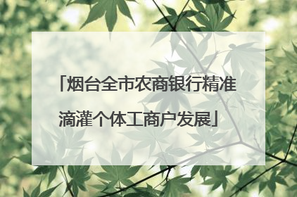 烟台全市农商银行精准滴灌个体工商户发展