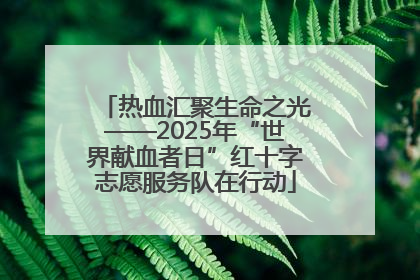 热血汇聚生命之光——2025年“世界献血者日”红十字志愿服务队在行动