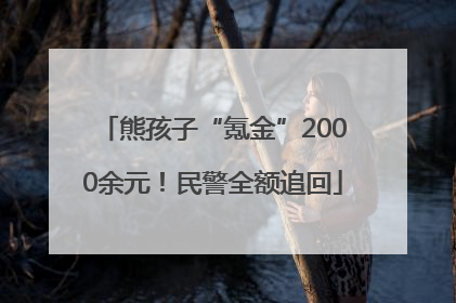 熊孩子“氪金”2000余元！民警全额追回