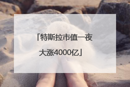 特斯拉市值一夜大涨4000亿
