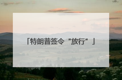 特朗普签令“放行”