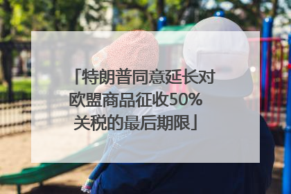 特朗普同意延长对欧盟商品征收50%关税的最后期限